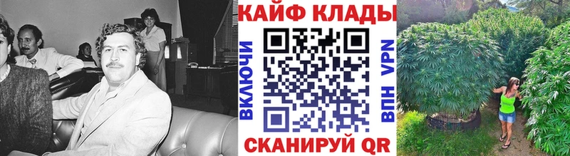Купить наркотики цена Гаврилов-Ям Alpha-PVP  Гашиш  Конопля  MEGA ссылка  Кокаин 